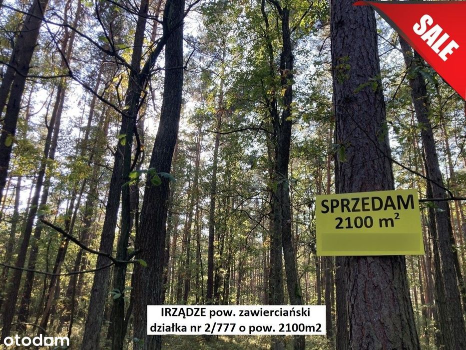 Sale -10% Tania działka leśna na Śląsku 2100m2 (K-ce 70km,Kraków 82km)