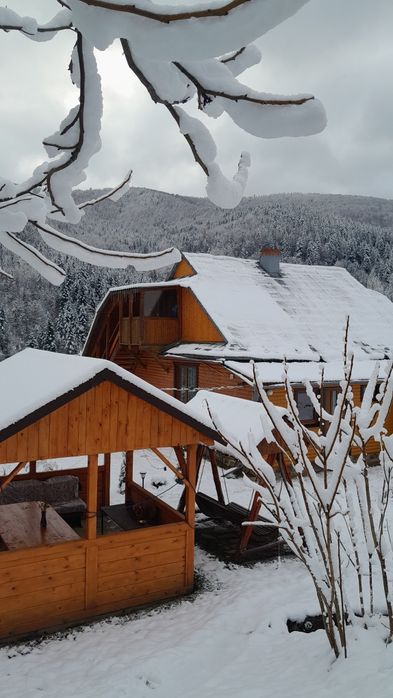 Відпочинок в Карпатах(Яремче), здається будинок на 4 осіб