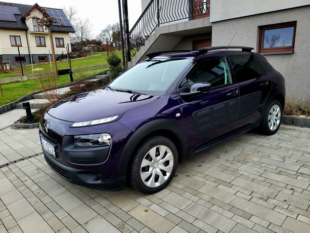 C4 Cactus Salon Polska