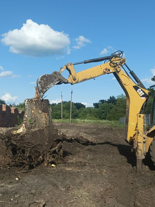 Корчевание деревьев