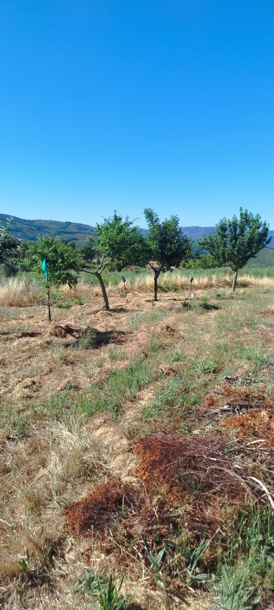Quinta com duas casas em xisto