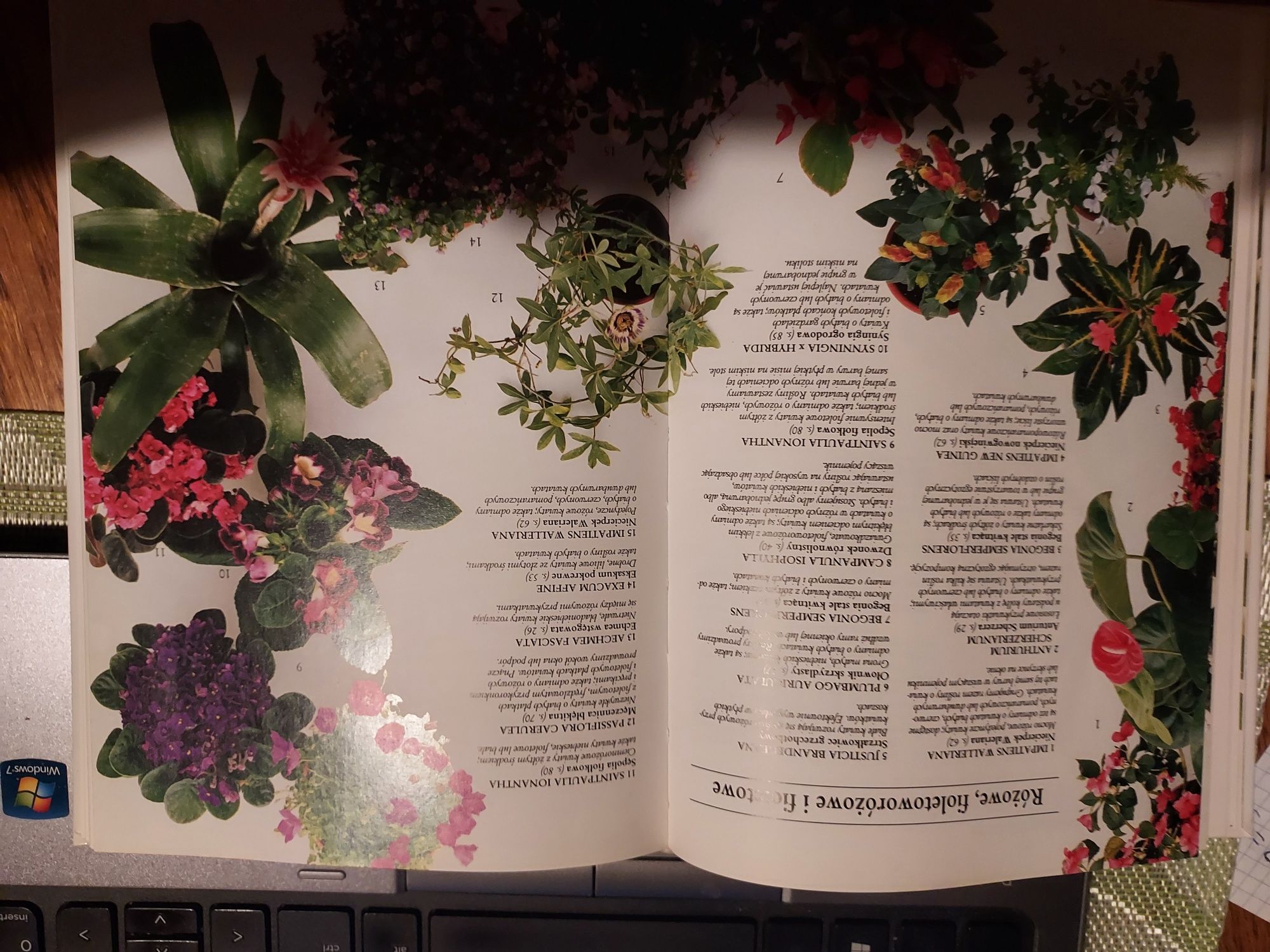Rośliny doniczkowe - Encyklopedia kieszonkowa - John Brookes