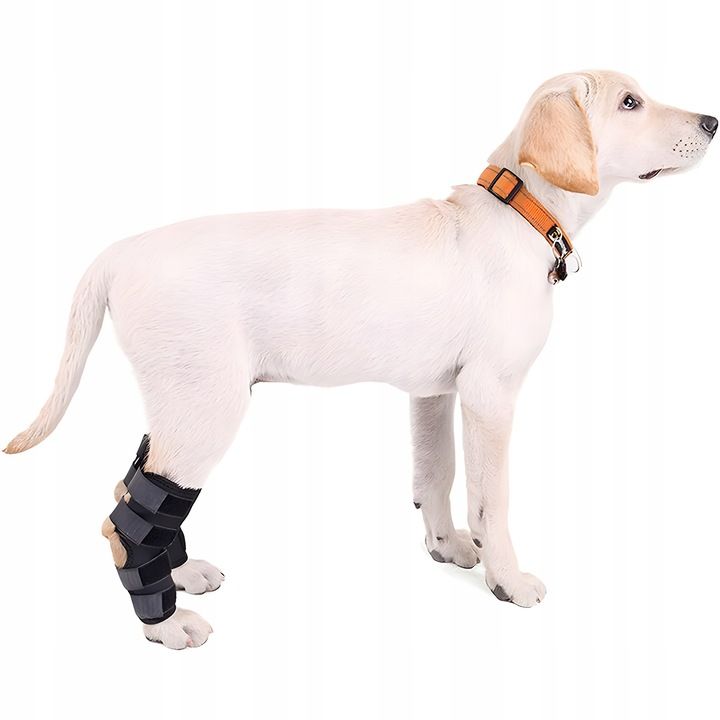 Orteza Dla Psa Stabilizator Stawu Skokowego Roz Xl