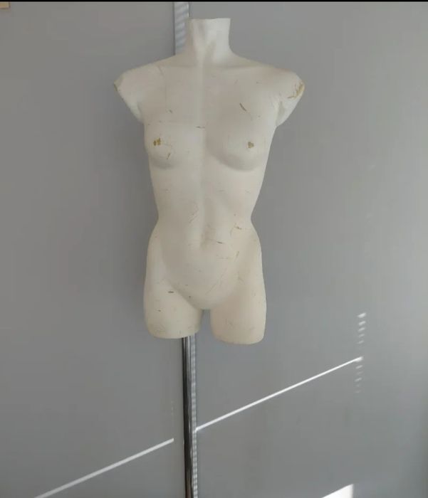 Manequim - torso feminino