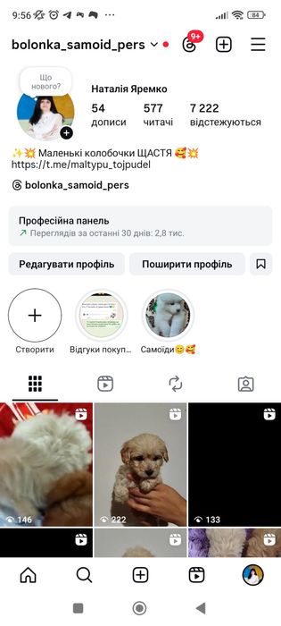 Мальтипу F1 і F2