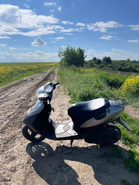 Suzuki lets 2 бабочка.