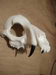 Skull dog maska furry