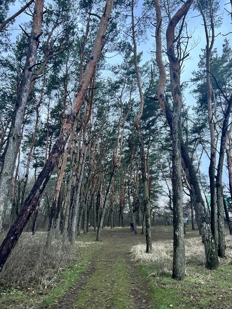 Продам дом-дачу в Новоселовке