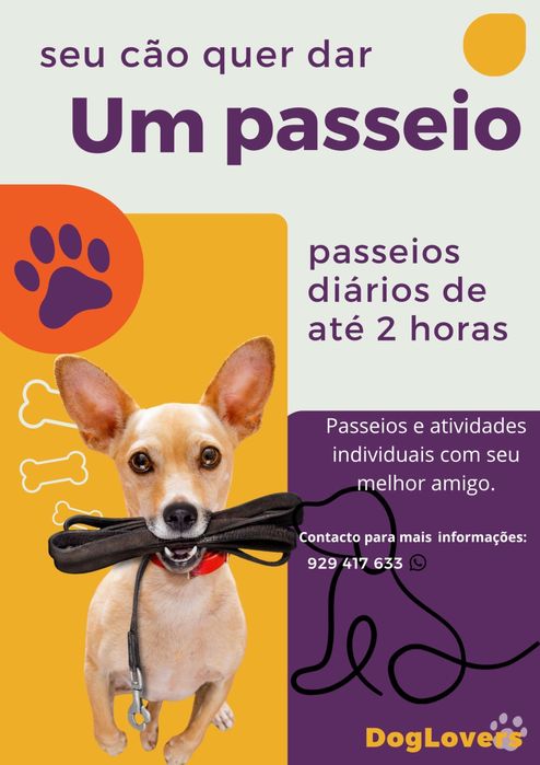 Dog Walkers/Passeio com cão - Lisboa