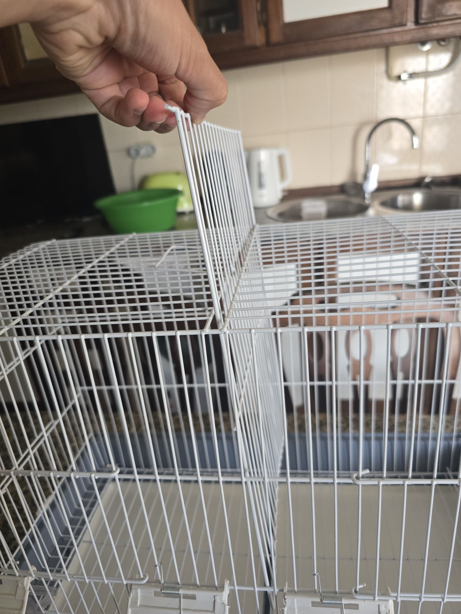 Gaiola para pássaros com separador