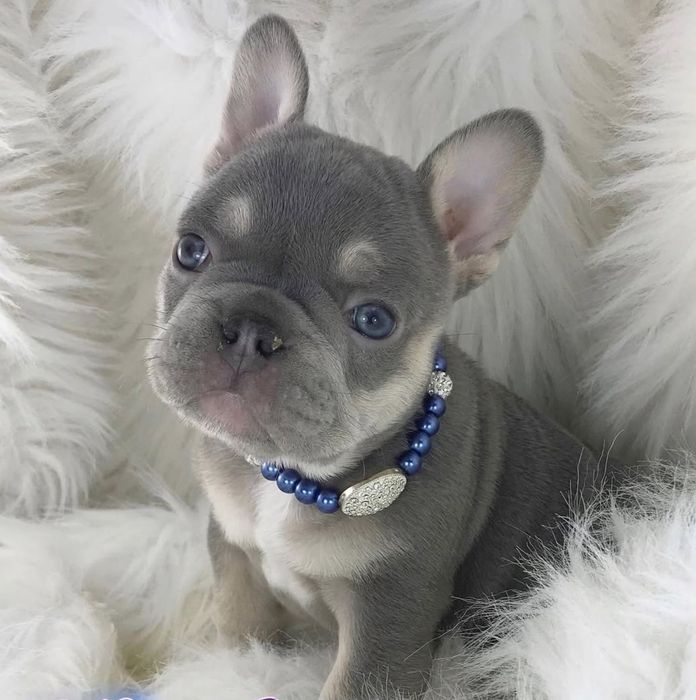 Мінні дівчинка блакитна