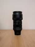 Sigma 100-400mm f/5-6.3 E-mount