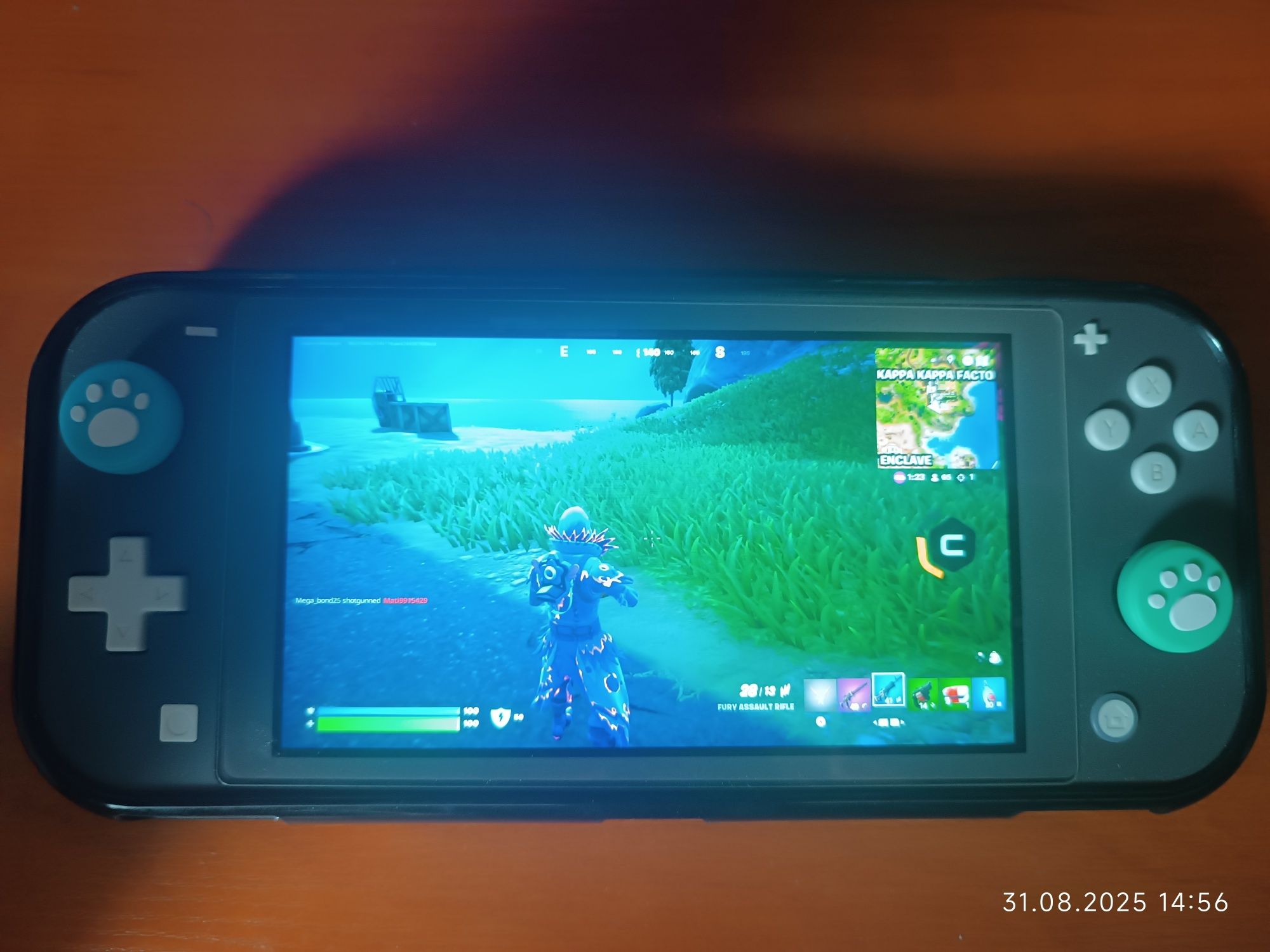 Nintendo switch lite