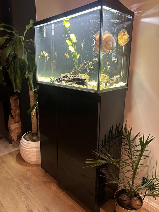 Akwarium z szafka 75x50x35