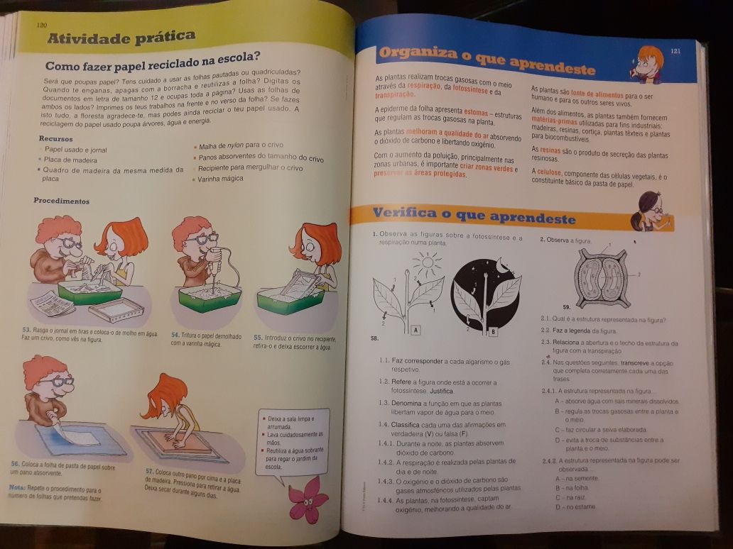 Caderno Atividades e manual VIVA A TERRA Ciências 5º