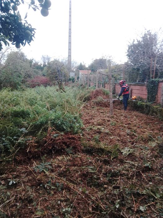 Jardinagem / Podas de sebes e árvores / Limpezas de terrenos