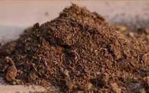 Torf sphagnum 10l podłoże rosiczka owadożery