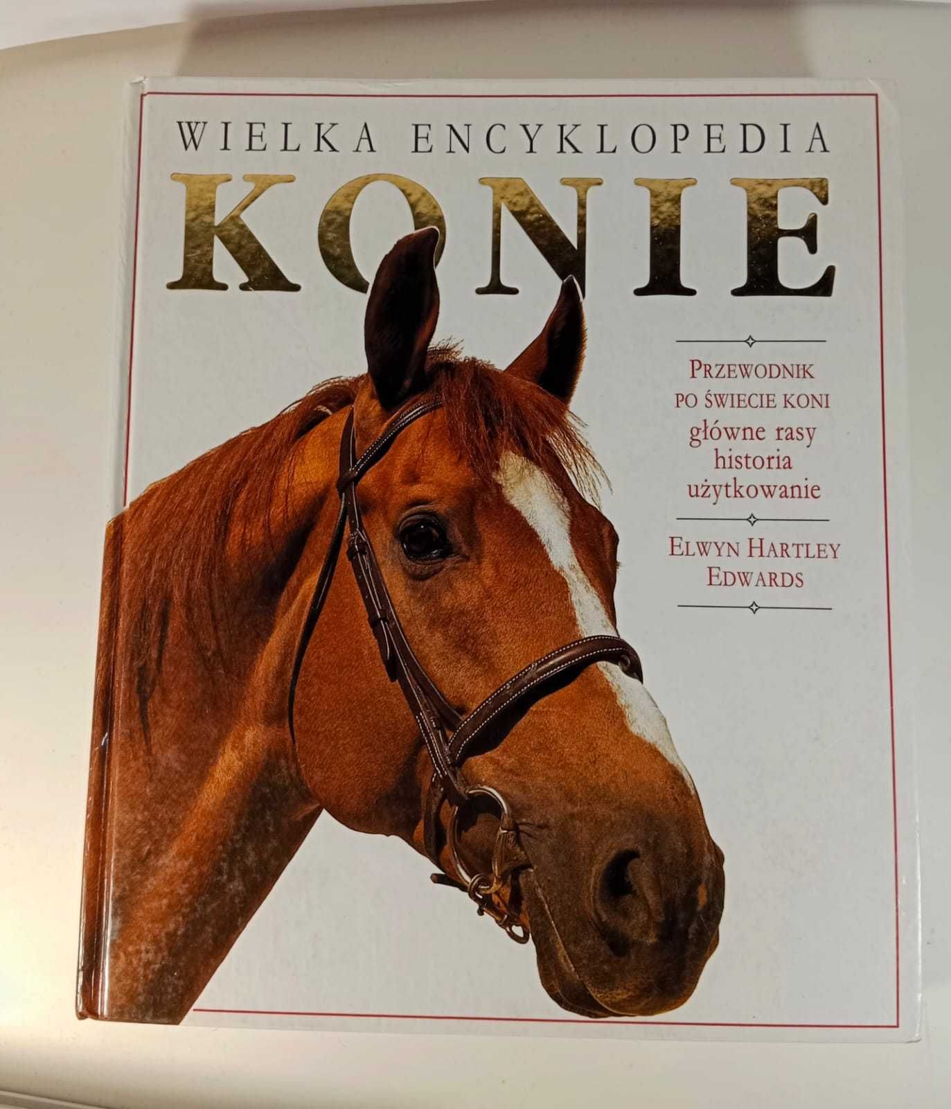Książka Wielka Encyklopedia Konie