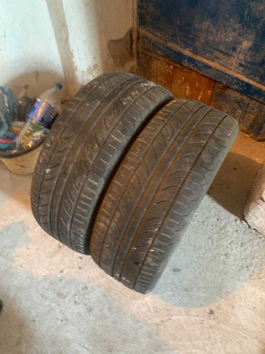 Шины Premiorri Solazo 205/55 R16 91V