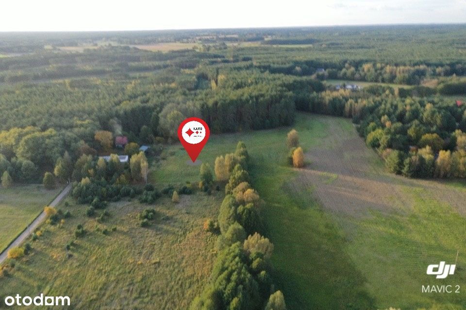 Działka z WZ wśród pól i lasów, blisko zjazd A2 w Trzcielu