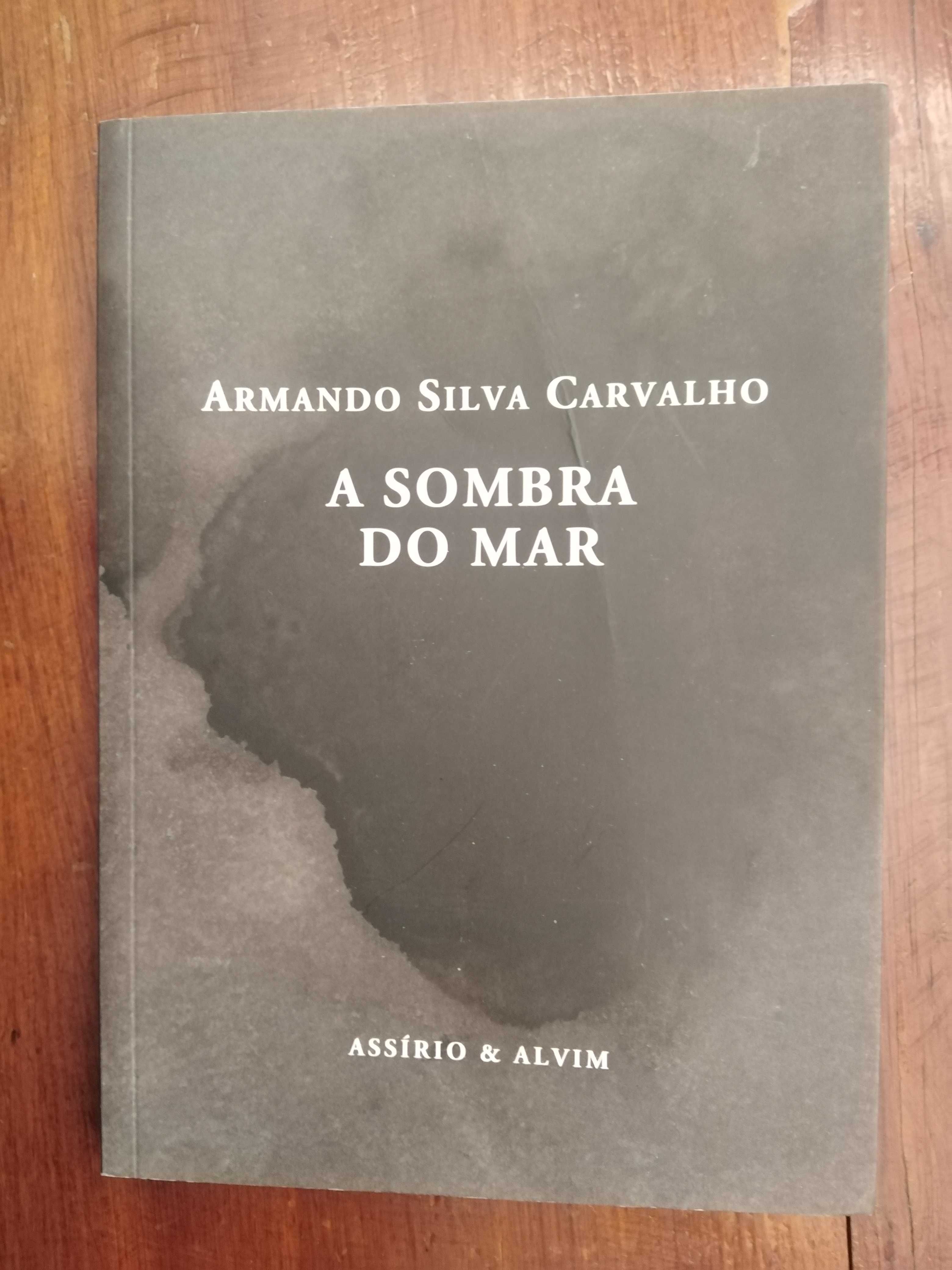 Armando Silva Carvalho - A sombra do mar