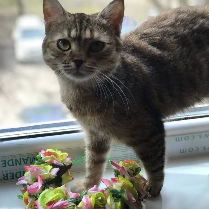 Отдам бесплатно!!