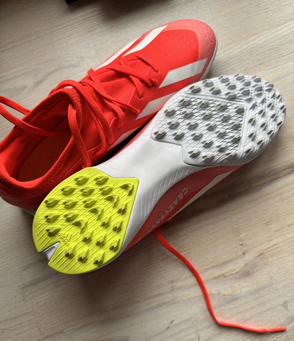 Буци сороконіжки