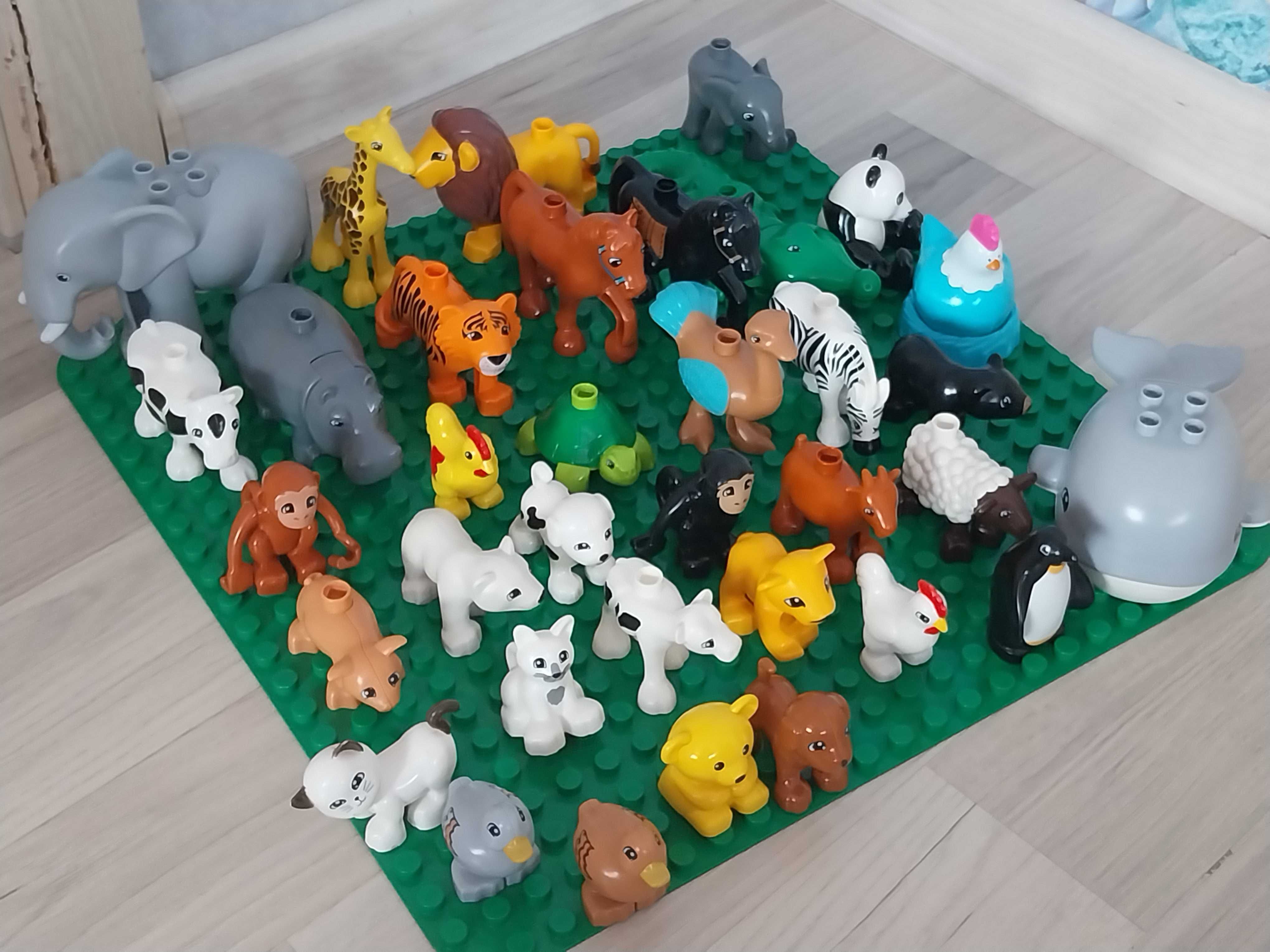 Lego jak Duplo Zwierzęta wielki zestaw
