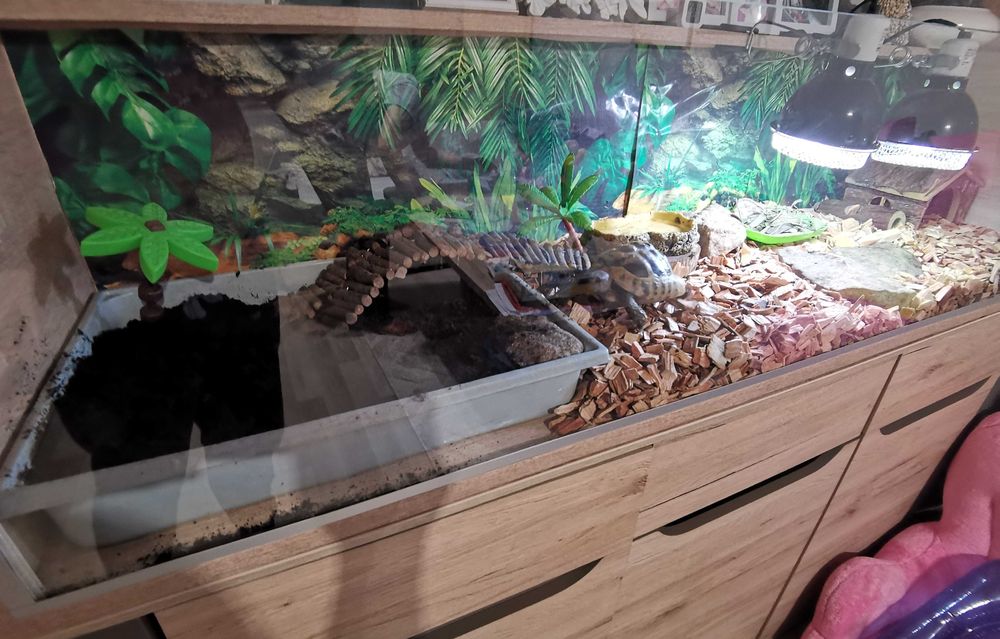 Terrarium dla żółwia greckiego