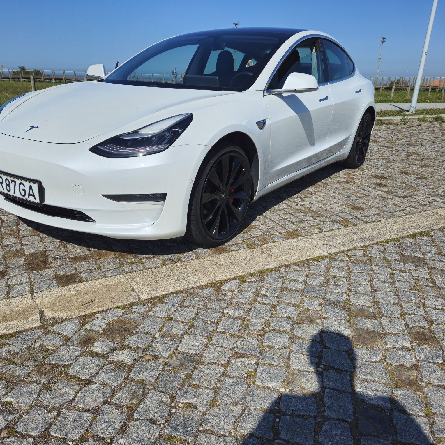 Tesla model 3 performance