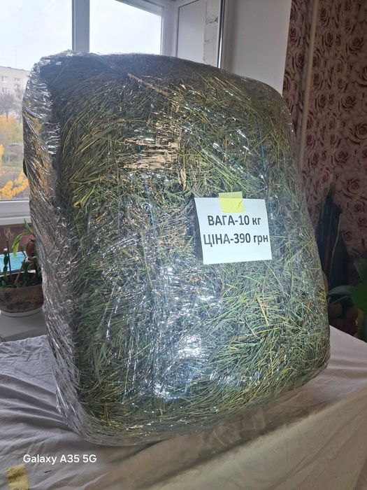 Сіно зелене для гризунів та тварин