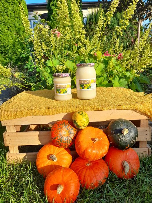 Miód rzepakowy 100 % naturalny 2025 r.