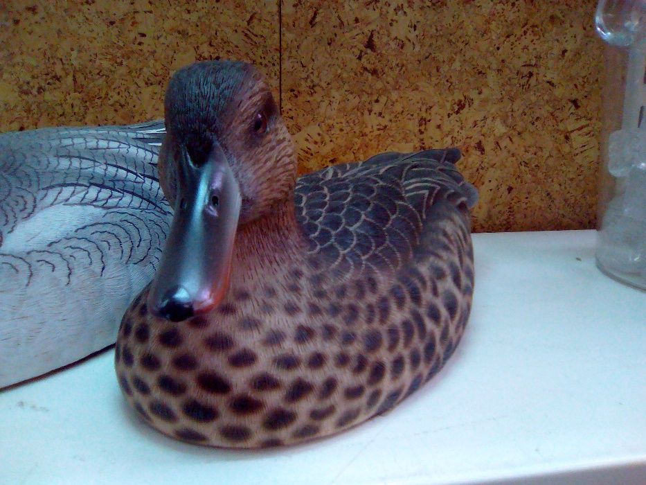 Patos artísticos Jules Bouillet