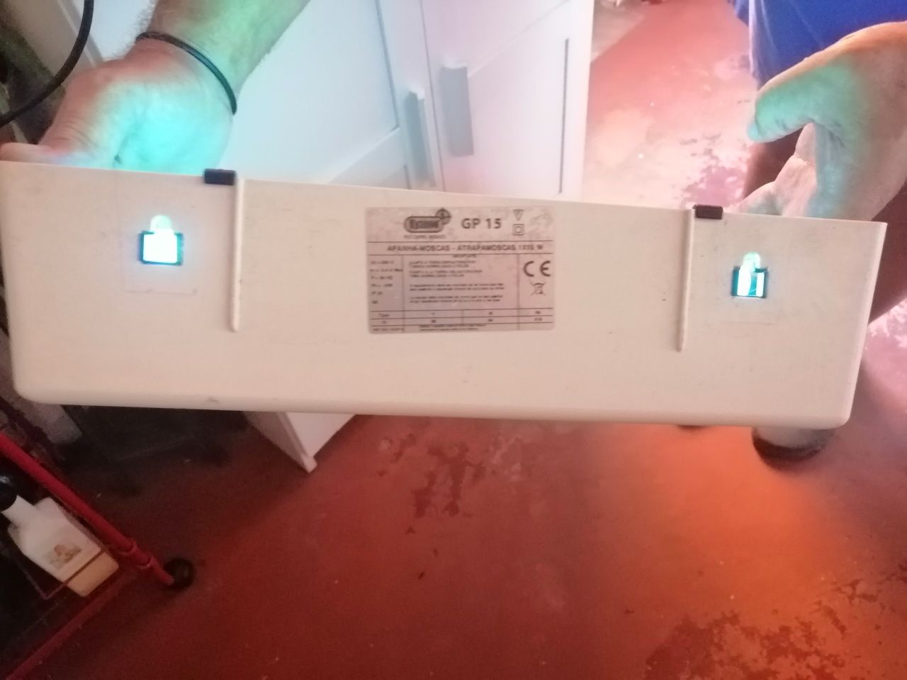 Apanha moscas kyzone