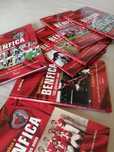 Coleção de livros do Sport Lisboa e Benfica