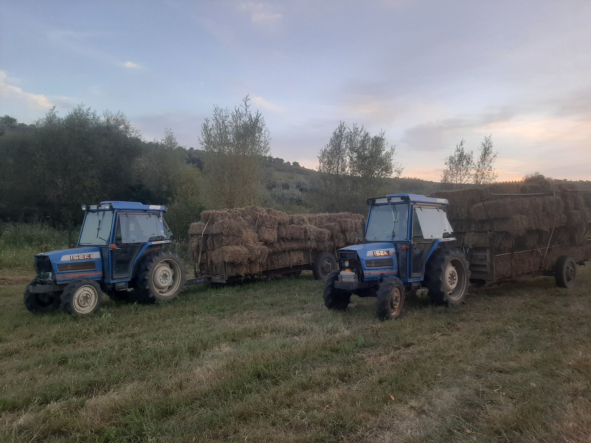 Тюки сіна та ліцерії