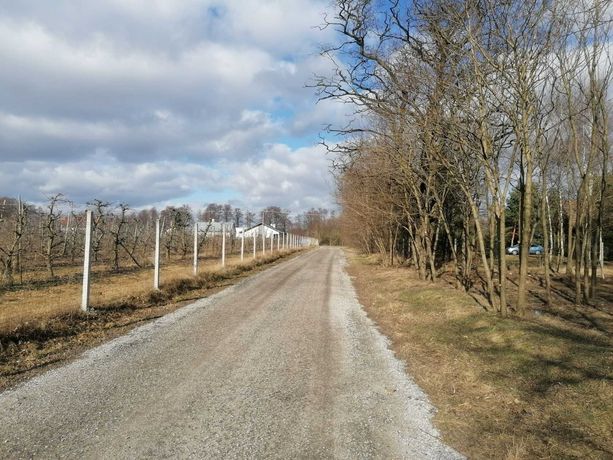 Działka budowlana 800m2 20min na Wołoską / Pawłowice pow. piaseczyński