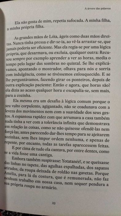 A árvore da palavras, de Teolinda Fersão