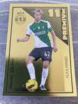 Cromo Liga Portuguesa de Futebol 2024-25 Panini Premium Hjulmand