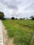 Działka z Warunkami Zabudowy 4900 m2 Milwino
