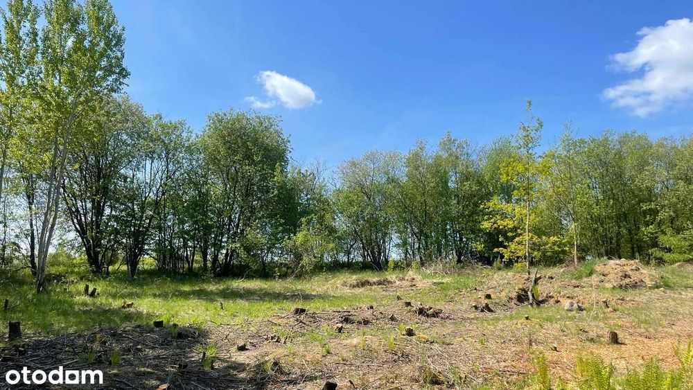 Urokliwe działki w Starym Czarnowie