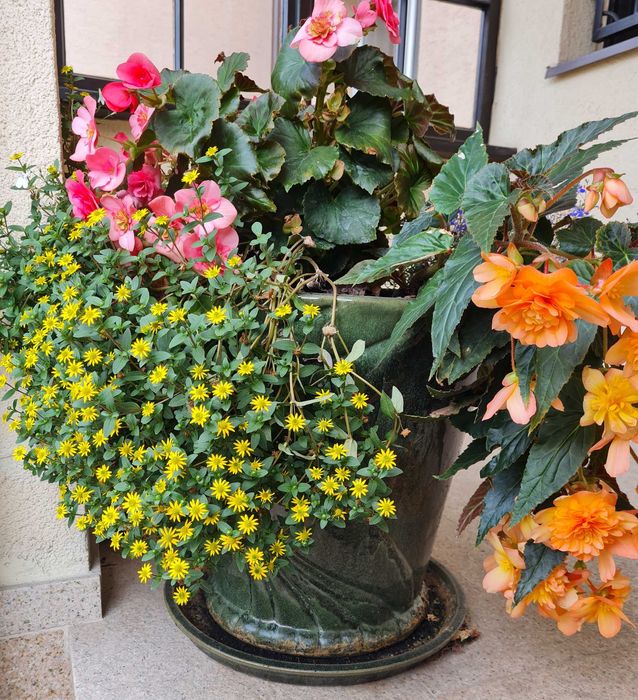 Donice ogrodowe duże mrozoodporne 2 szt.