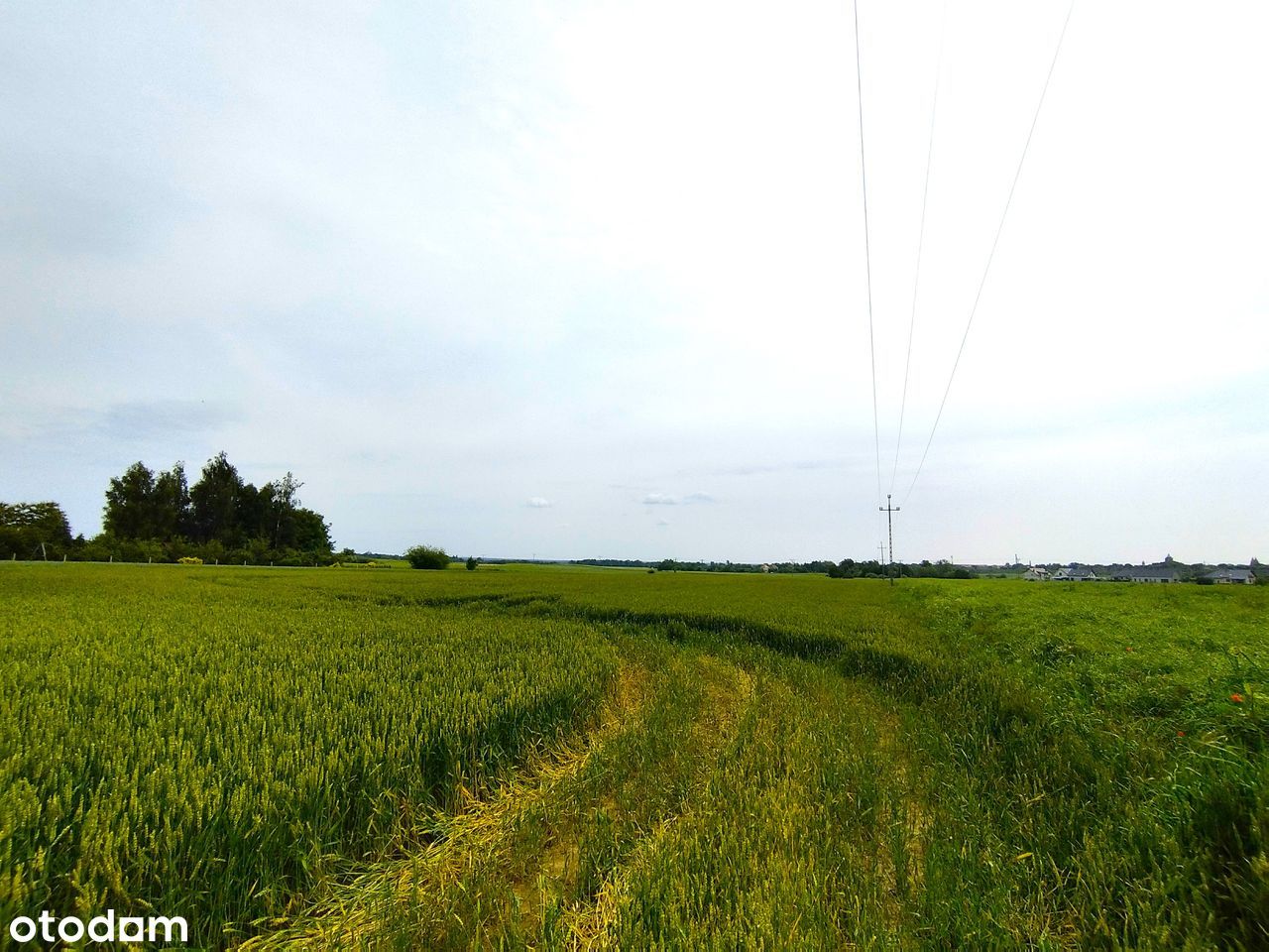 Ładna DZIAŁKA RM (w trakcie zmiany na MN) 2 km Chojnów*JERZMANOWICE