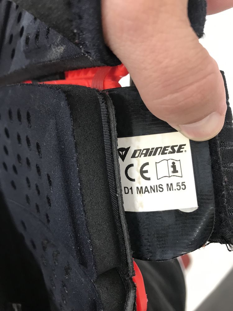 Лижний захист на спину DAINESE