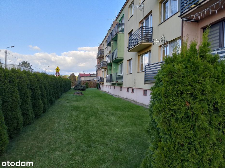 Mieszkanie pod Iławą plus działka 5 ar - Bezpośrednio