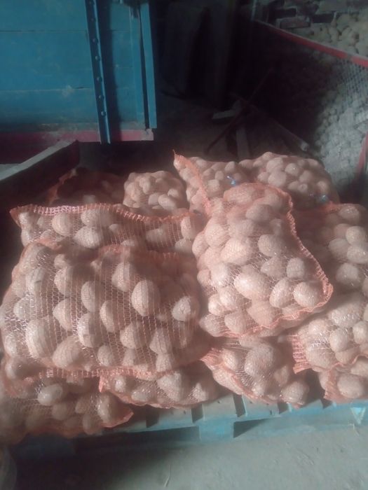 Ziemniaki wineta i ouenn anna