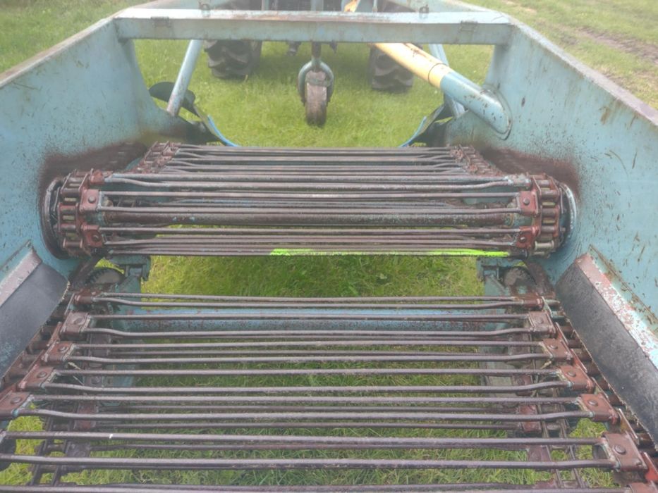 Kopaczka elewatorowa do ziemniaków