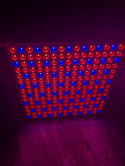 Lampa do Roślin LED Uprawy Wzrostu Doświetlania Panel pełne spektrum
