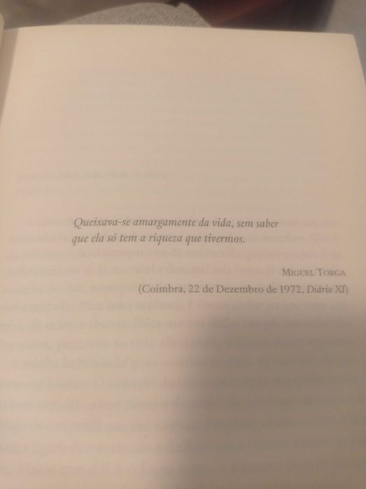 Livro Veneza pode esperar, de Rita Ferro