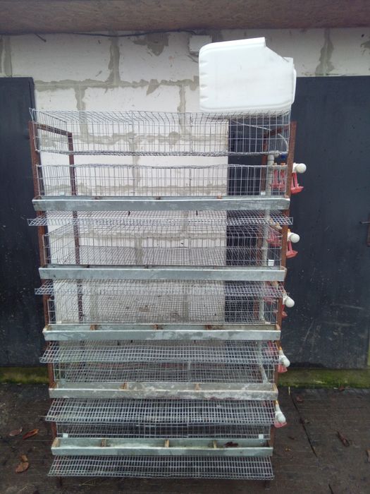 Клітки для перепілок